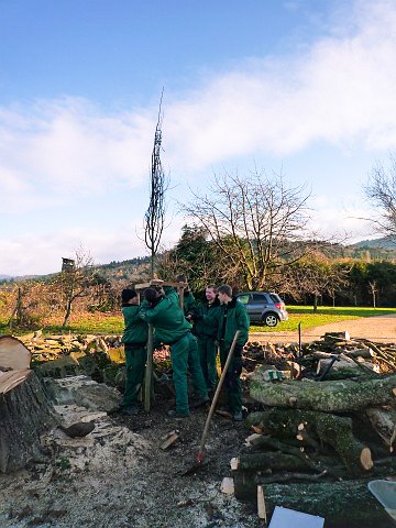 Team pflanzt einen jungen Baum